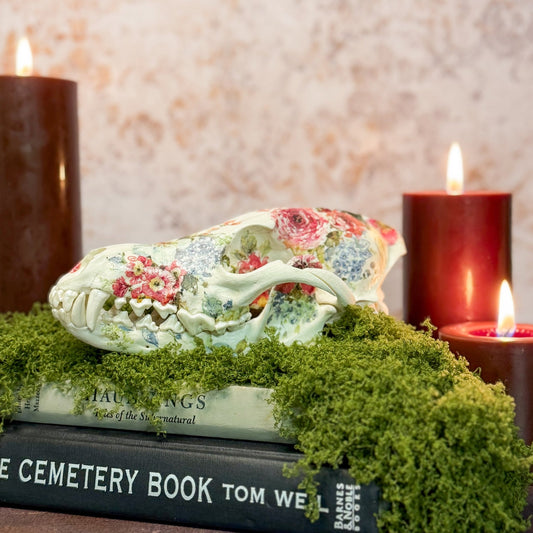 Not Your Grandma's Flower Coyote Skull - Gather Your Bones