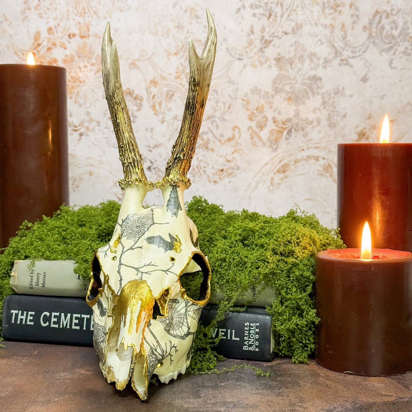 Spiderweb and Bat Roe Deer Skull - Gather Your Bones