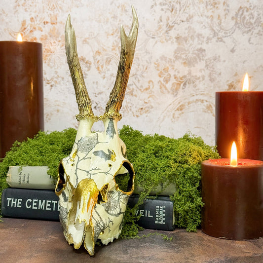 Spiderweb and Bat Roe Deer Skull - Gather Your Bones