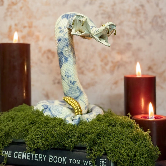 Two - Headed Blue Rose Rattlesnake Mount - Gather Your Bones