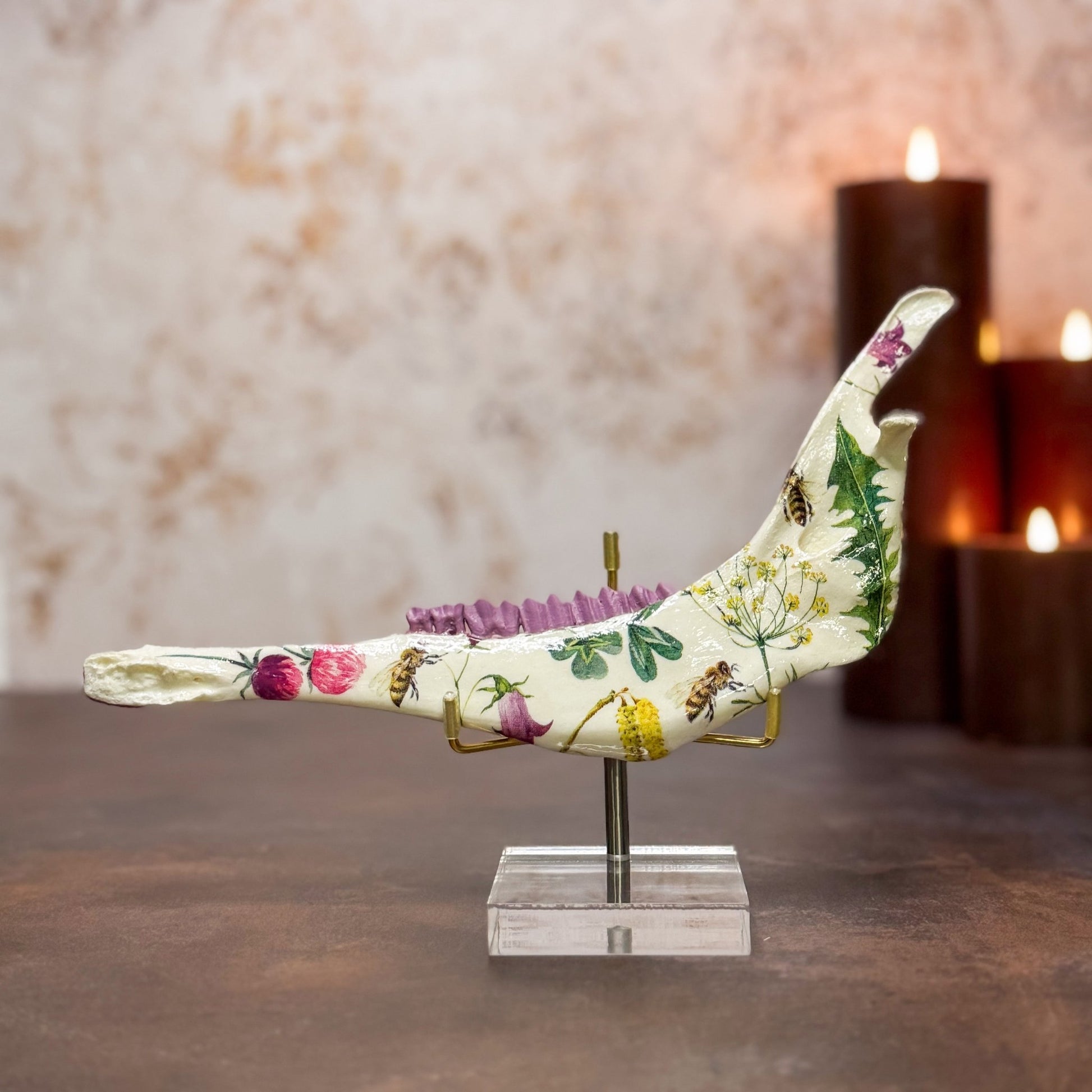 Wildflower Pronghorn Mandible - Stand Included - Gather Your Bones