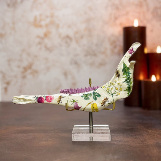 Wildflower Pronghorn Mandible - Stand Included - Gather Your Bones
