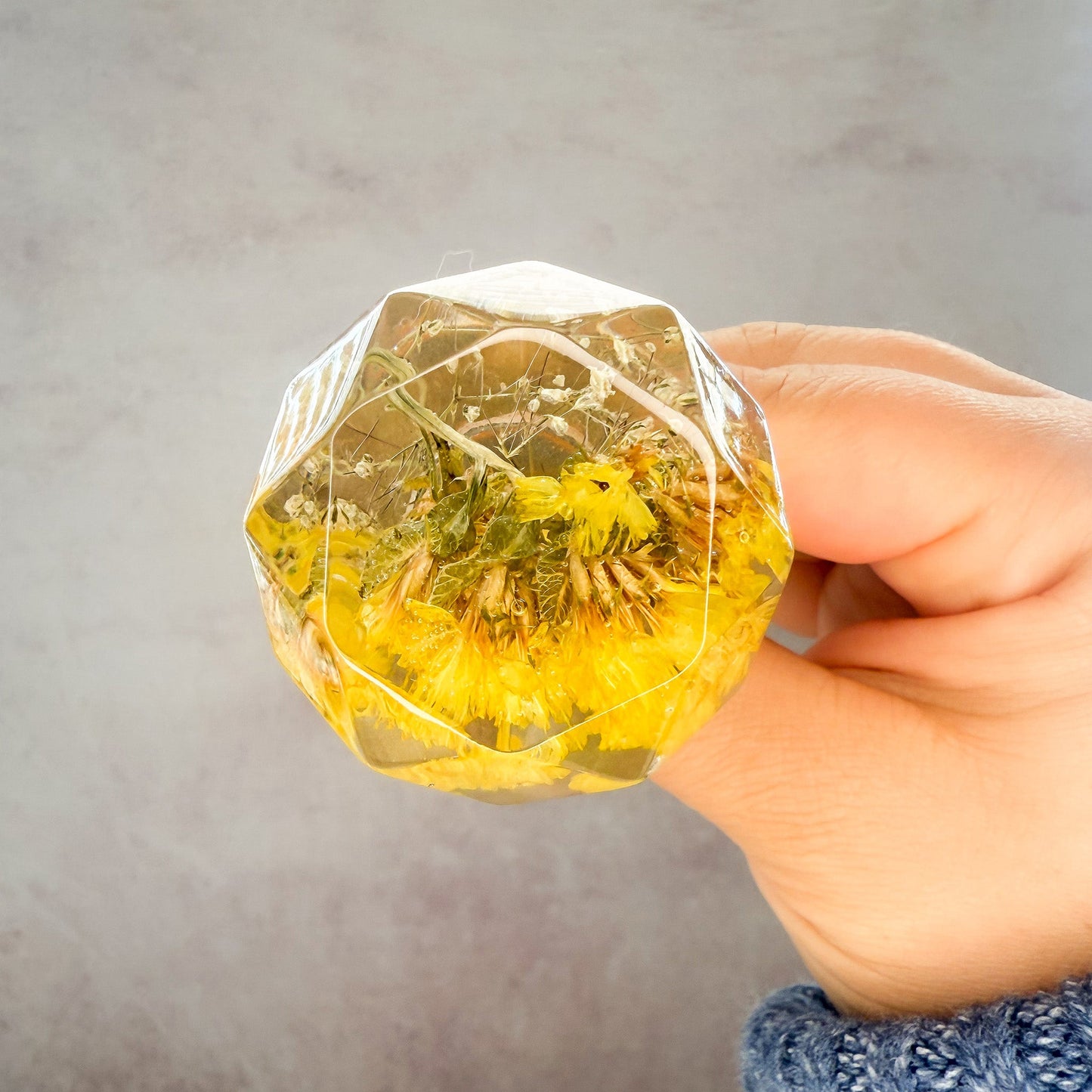 Wine Terrarium #15 - Gather Your Bones