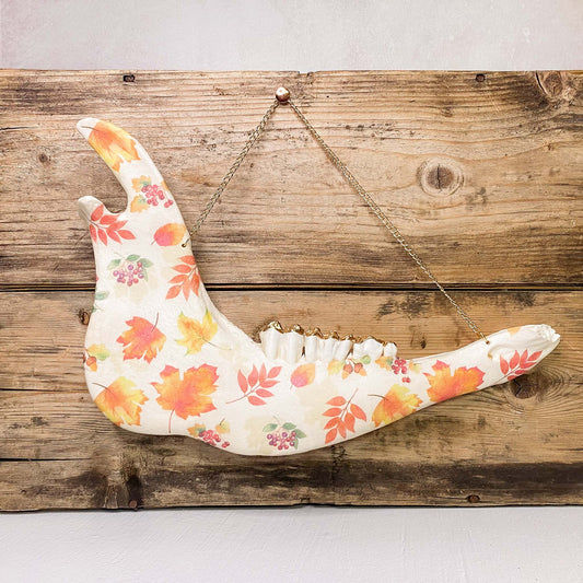 Autumn Leaf Cow Jaw Wall Hanger