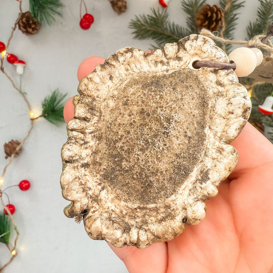 Silver Pine Elk Antler Burr Ornament