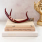 Maroon and Rose Gold Whitetail Deer Antler Shed