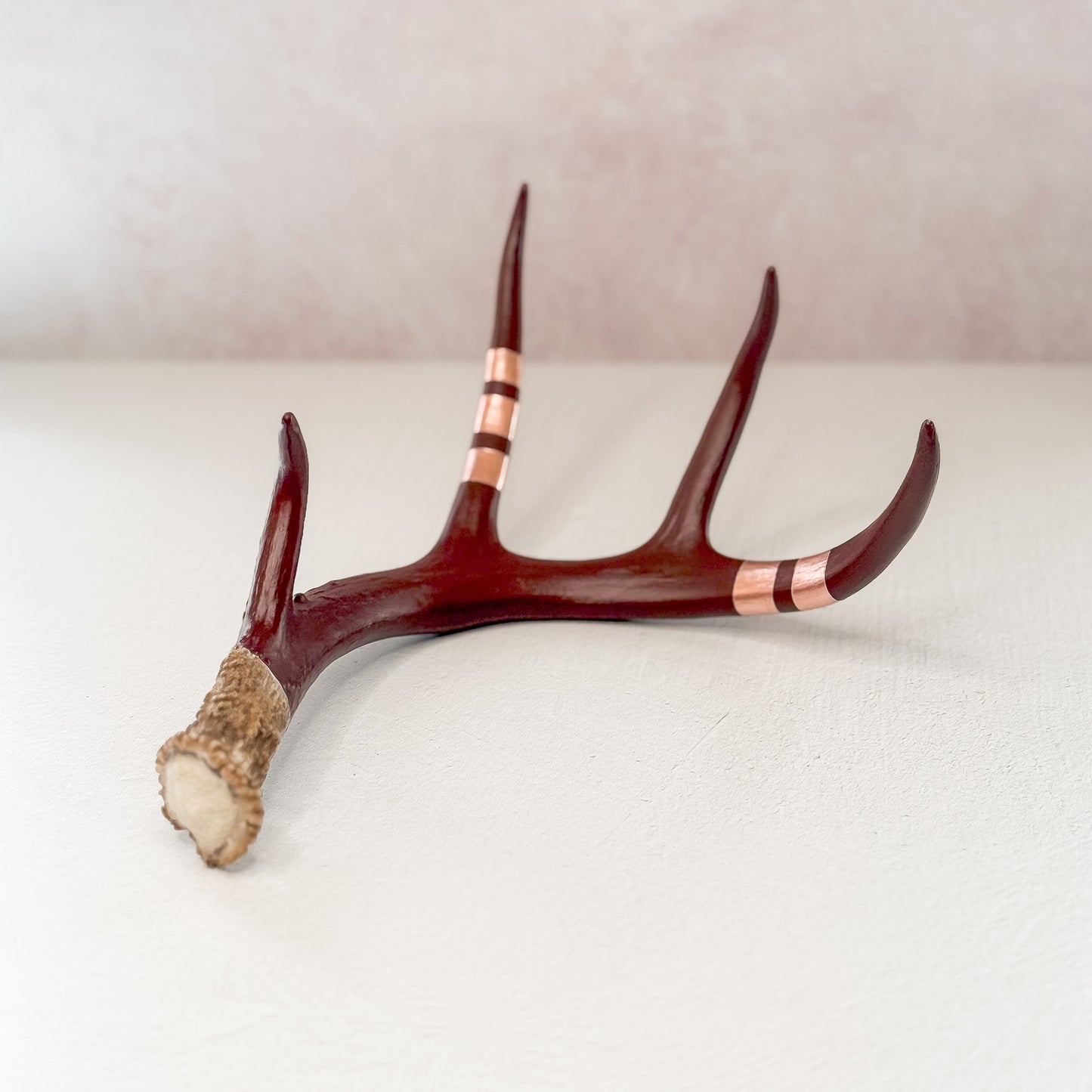 Maroon and Rose Gold Whitetail Deer Antler Shed