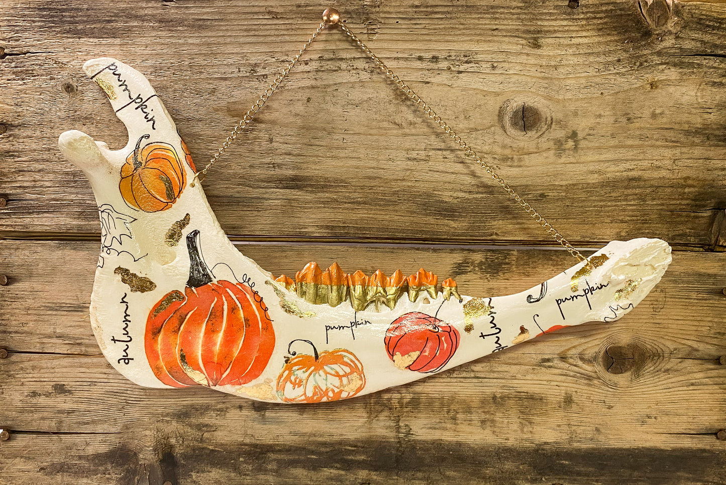 Orange Scripty Autumn Pumpkin Cow Jaw Wall Hanger