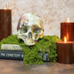 Aged Pearl Floral Resin Skull - Gather Your Bones