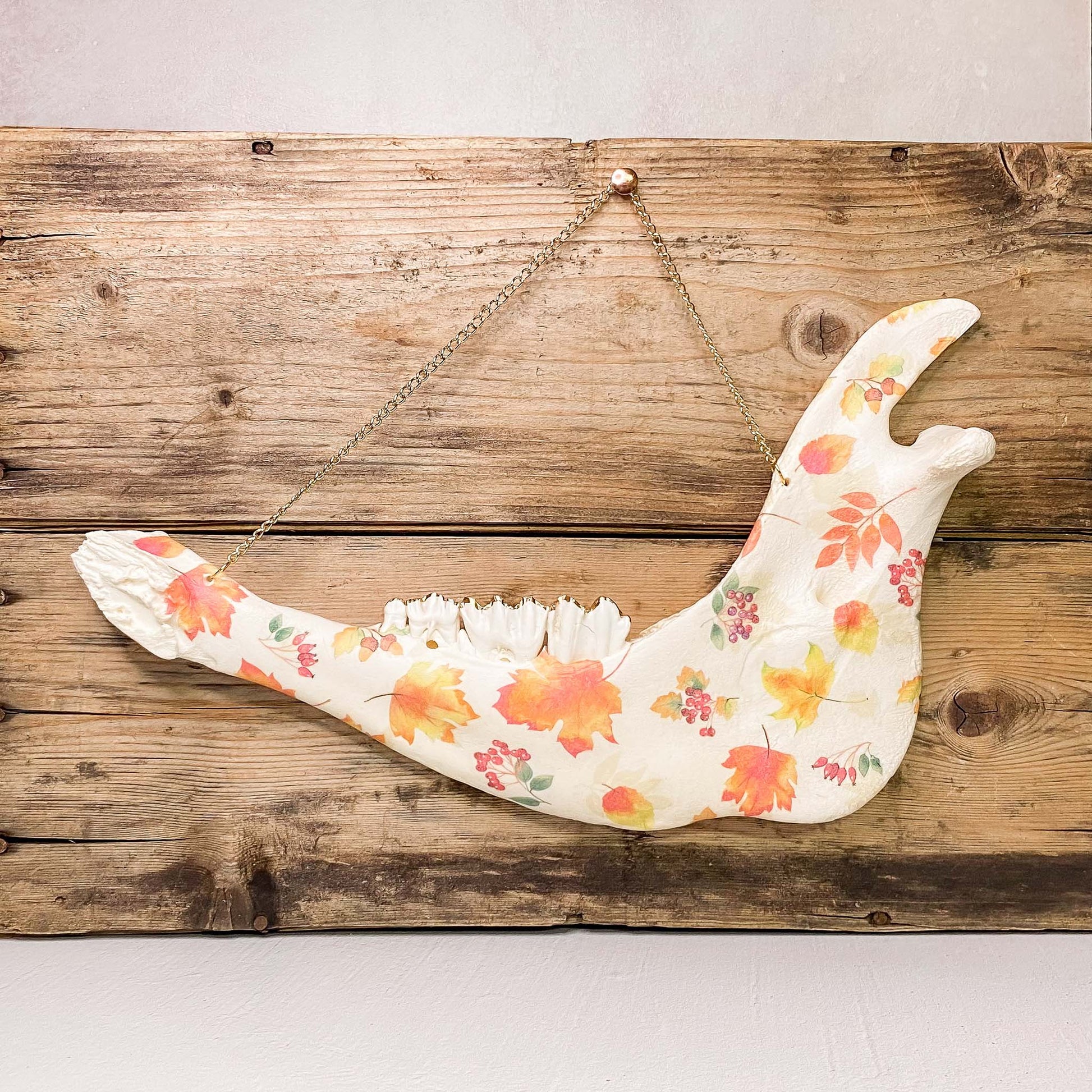 Autumn Leaf Cow Jaw Wall Hanger - Gather Your Bones