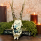 Blue Watercolor Roe Deer Skull- Wall Hanger Included - Gather Your Bones