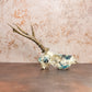 Blue Watercolor Roe Deer Skull- Wall Hanger Included - Gather Your Bones