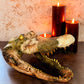 Dragon Themed Taxidermy Alligator Head (XL) - Gather Your Bones