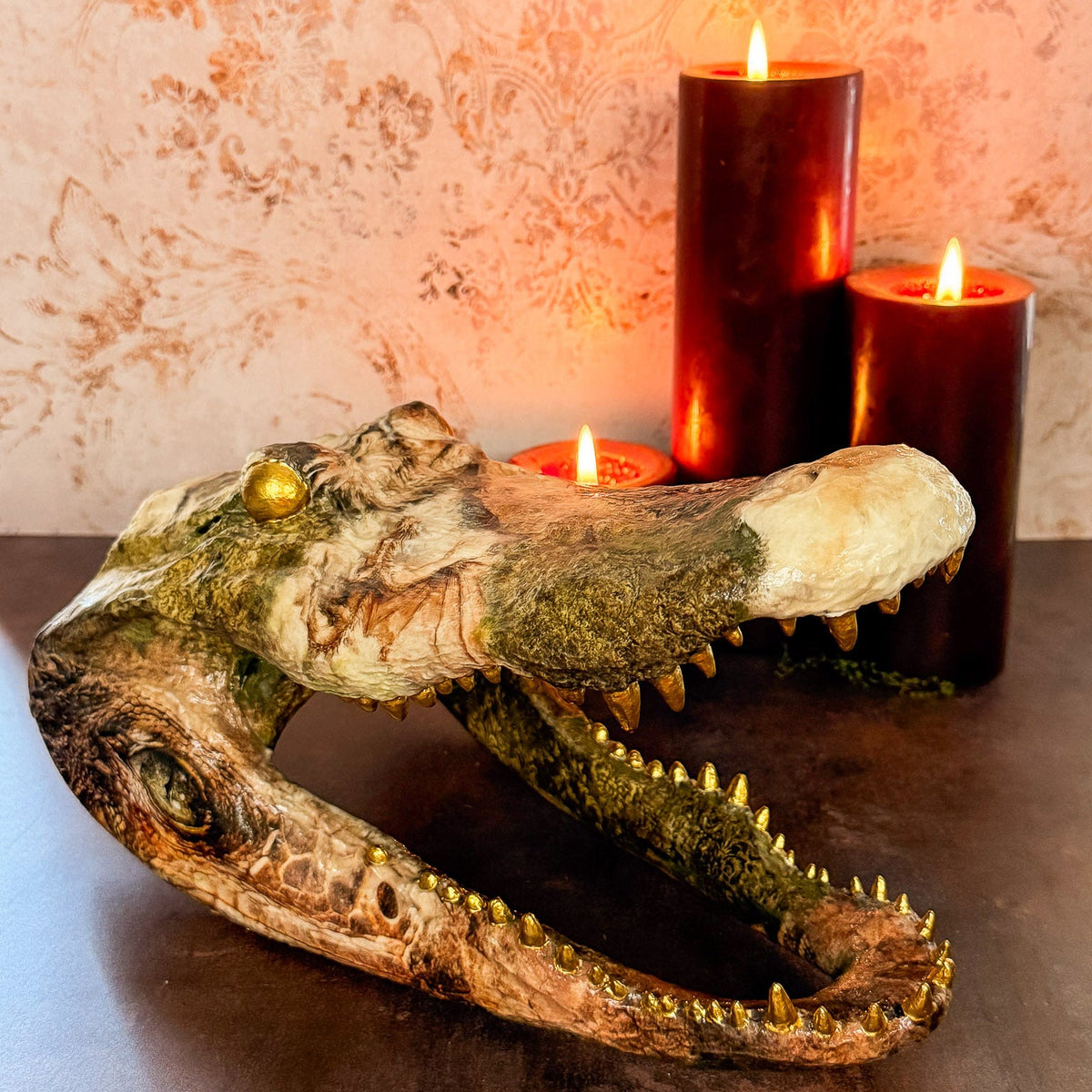 Dragon Themed Taxidermy Alligator Head (XL) - Gather Your Bones