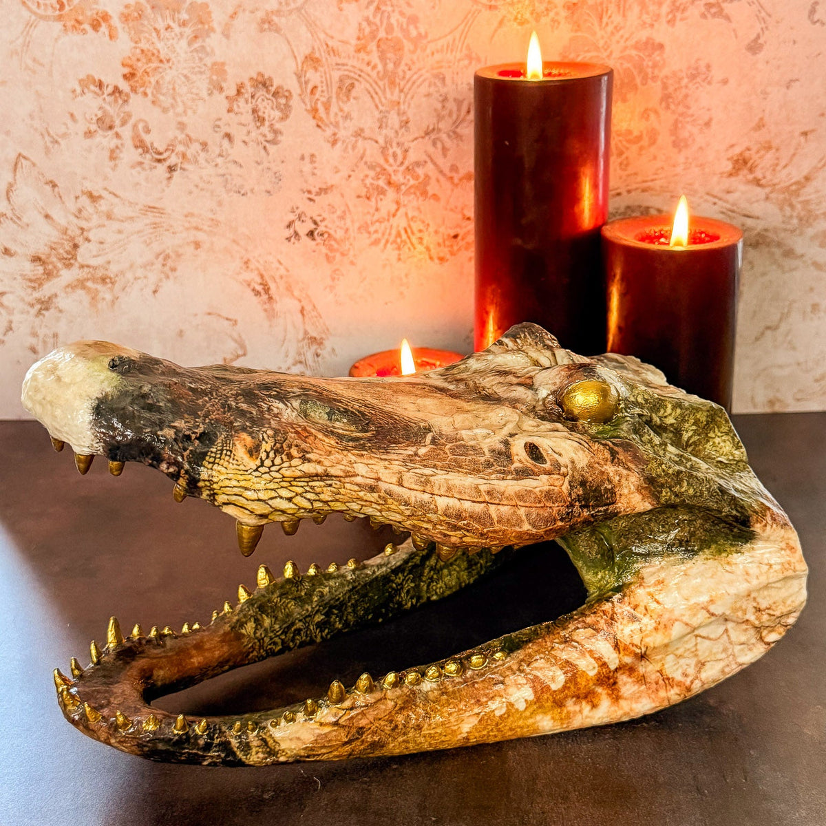 Dragon Themed Taxidermy Alligator Head (XL) - Gather Your Bones
