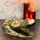Dragon Themed Taxidermy Alligator Head (XL) - Gather Your Bones