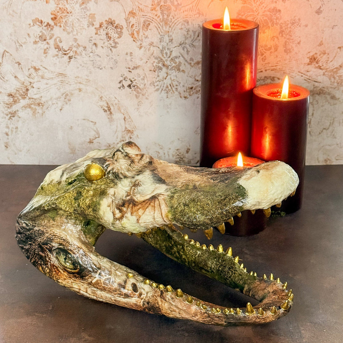 Dragon Themed Taxidermy Alligator Head (XL) - Gather Your Bones