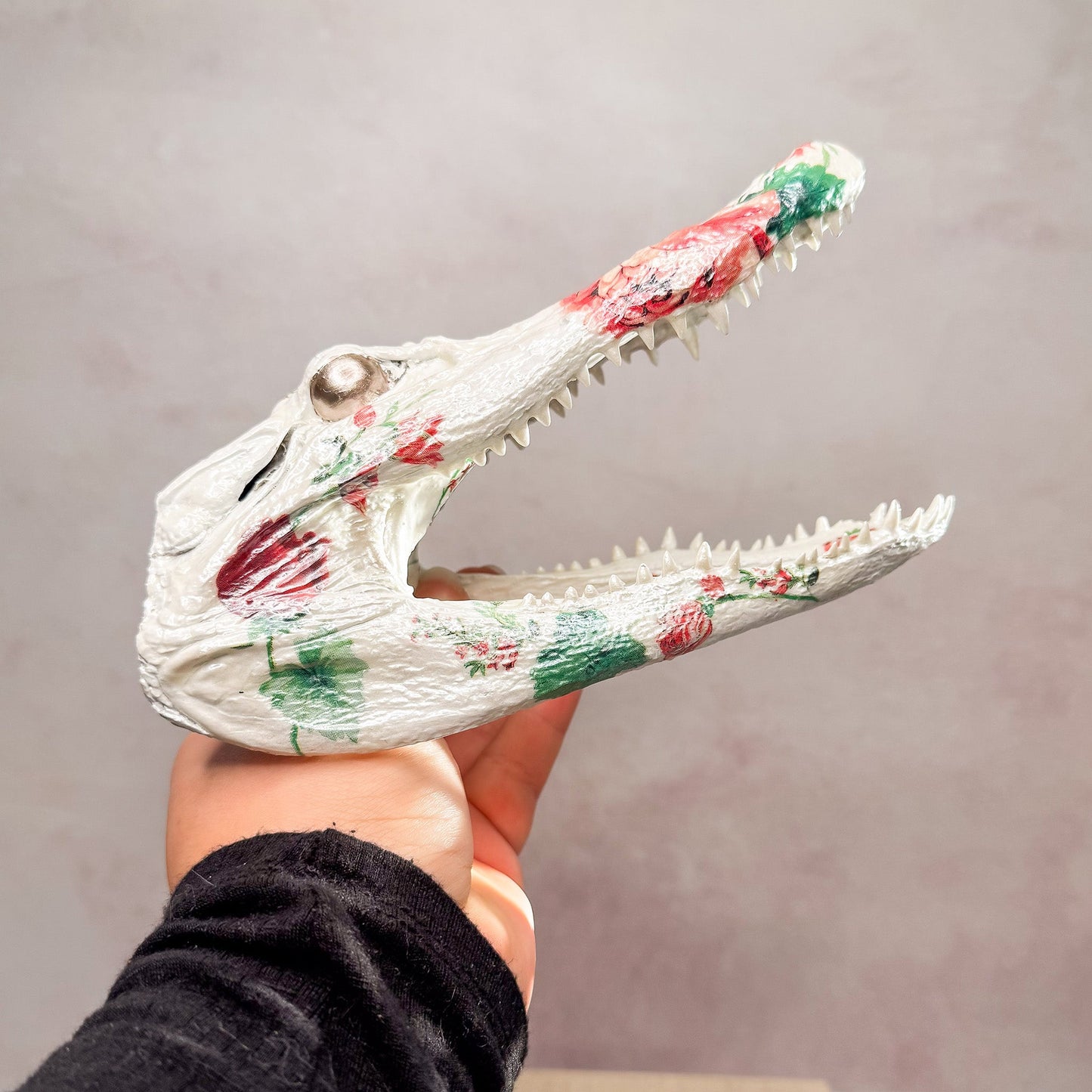 Genuine Pearly Rose Louisiana Alligator Head - Gather Your Bones