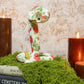 Genuine Strawberry Rattlesnake Mount - Gather Your Bones