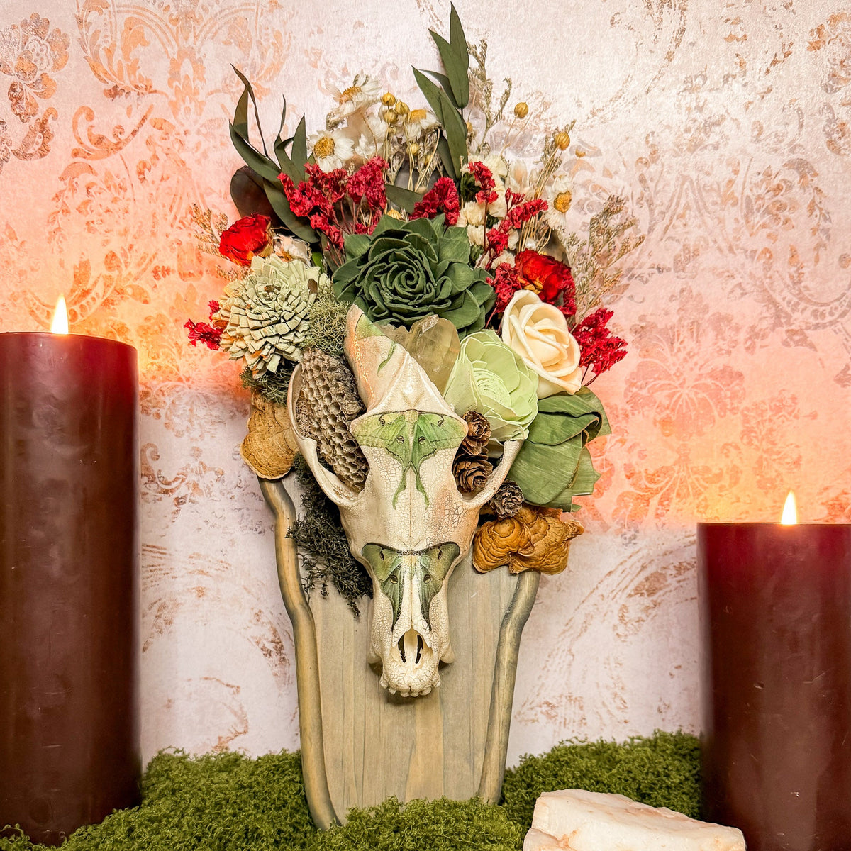 Luna Moth Coyote Mount - Gather Your Bones