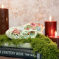 Not Your Grandma's Flower Coyote Skull - Gather Your Bones