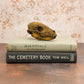 Rusted Patina'd Oppossum Skull - Gather Your Bones