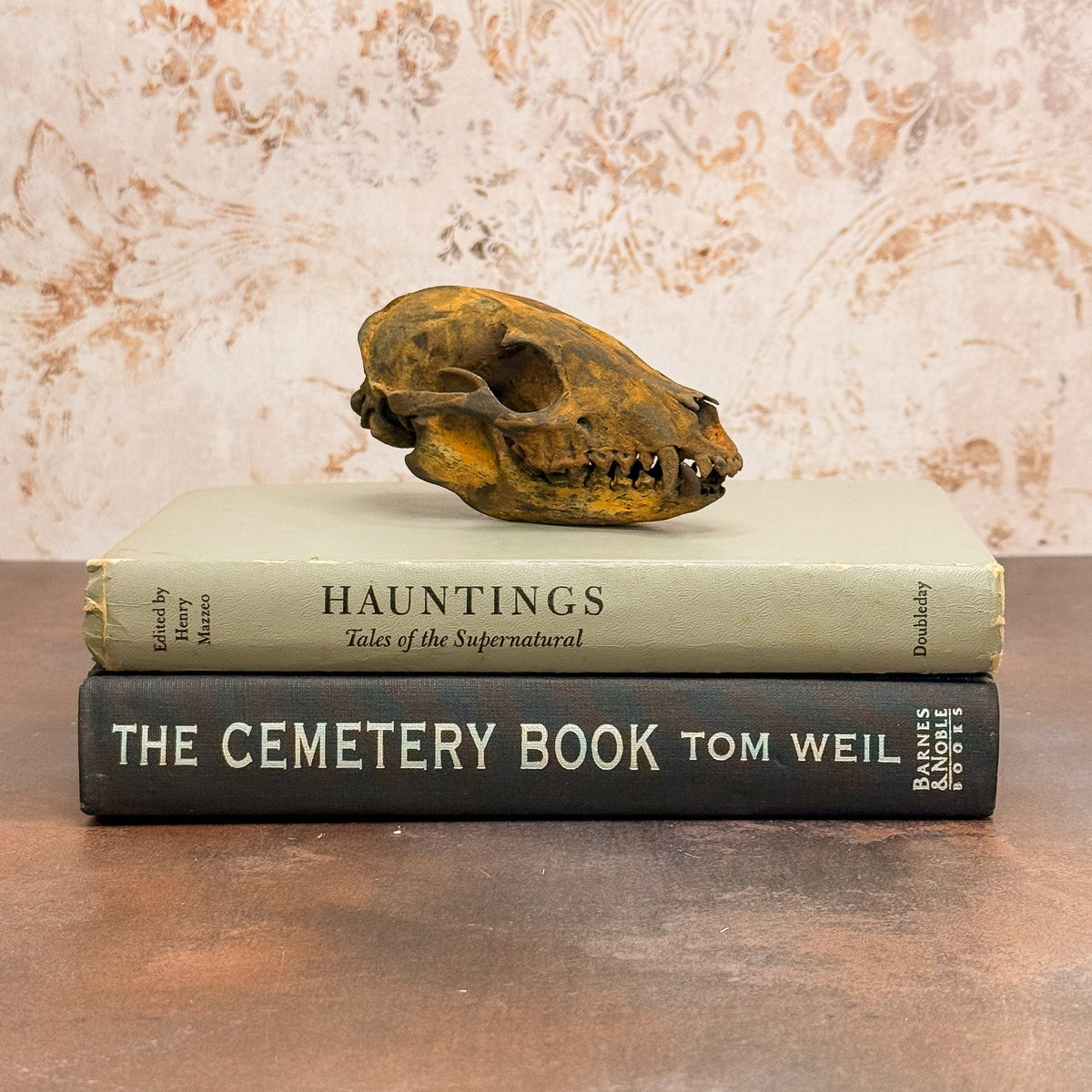 Rusted Patina'd Oppossum Skull - Gather Your Bones