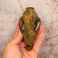 Rusted Patina'd Oppossum Skull - Gather Your Bones