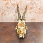 Vintage Floral & Birds Porcelain Style Roe Deer Skull- Wall Hanger Included - Gather Your Bones